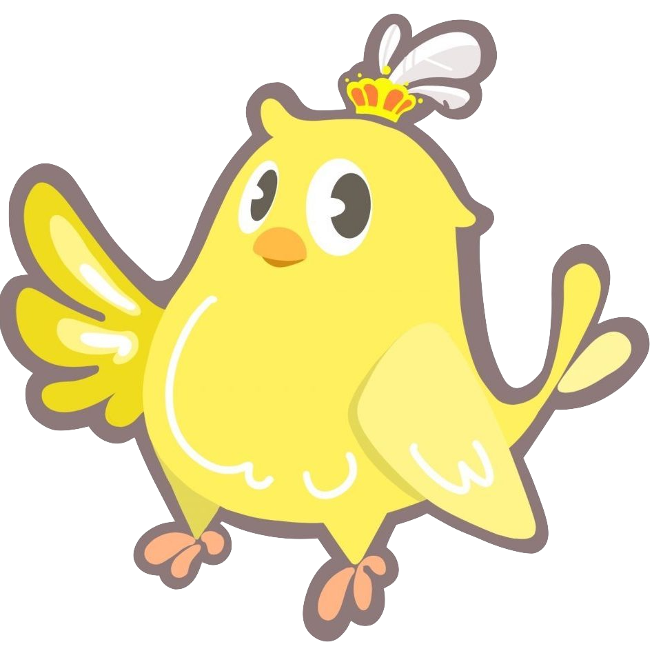 Birdie Badminton Logo